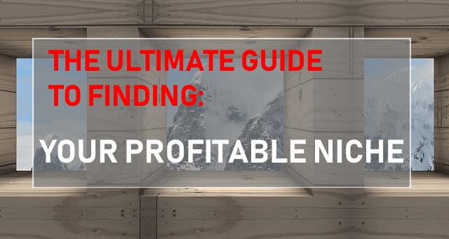 Your Profitable Niche